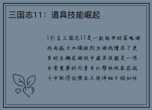 三国志11：道具技能崛起