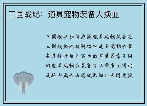 三国战纪：道具宠物装备大换血